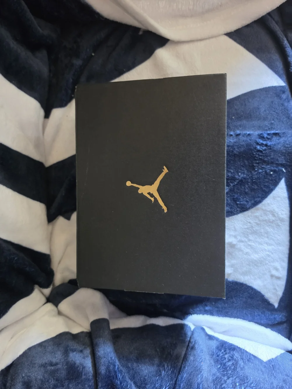 Jordan Black Shoe Box with Gold Accents